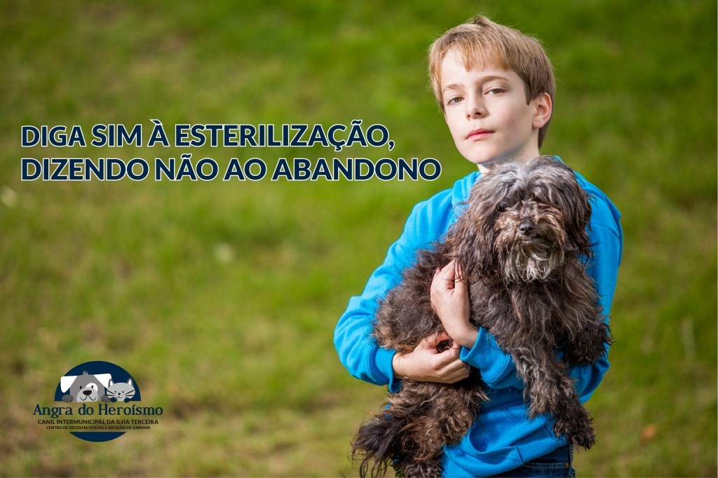 Município de Angra do Heroísmo sensibiliza para a adoção e esterilização de animais de companhia