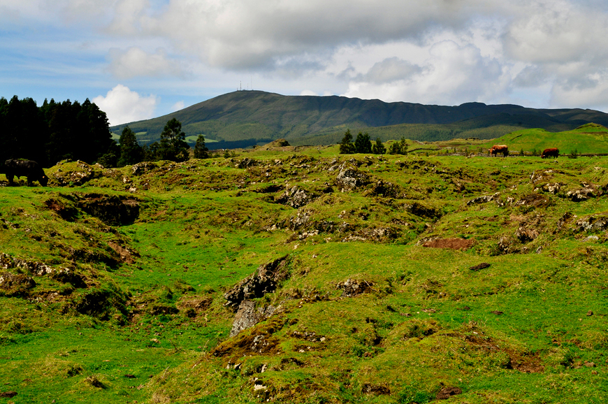 Paisagem da Ilha Terceira