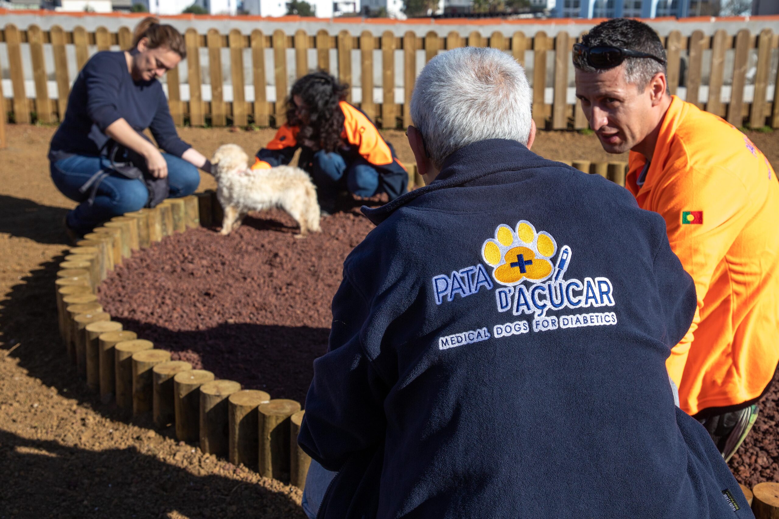 Município de Angra do Heroísmo promove treino de cães para serem cães de alerta médico, em parceira com a Associação Pata D` Açúcar