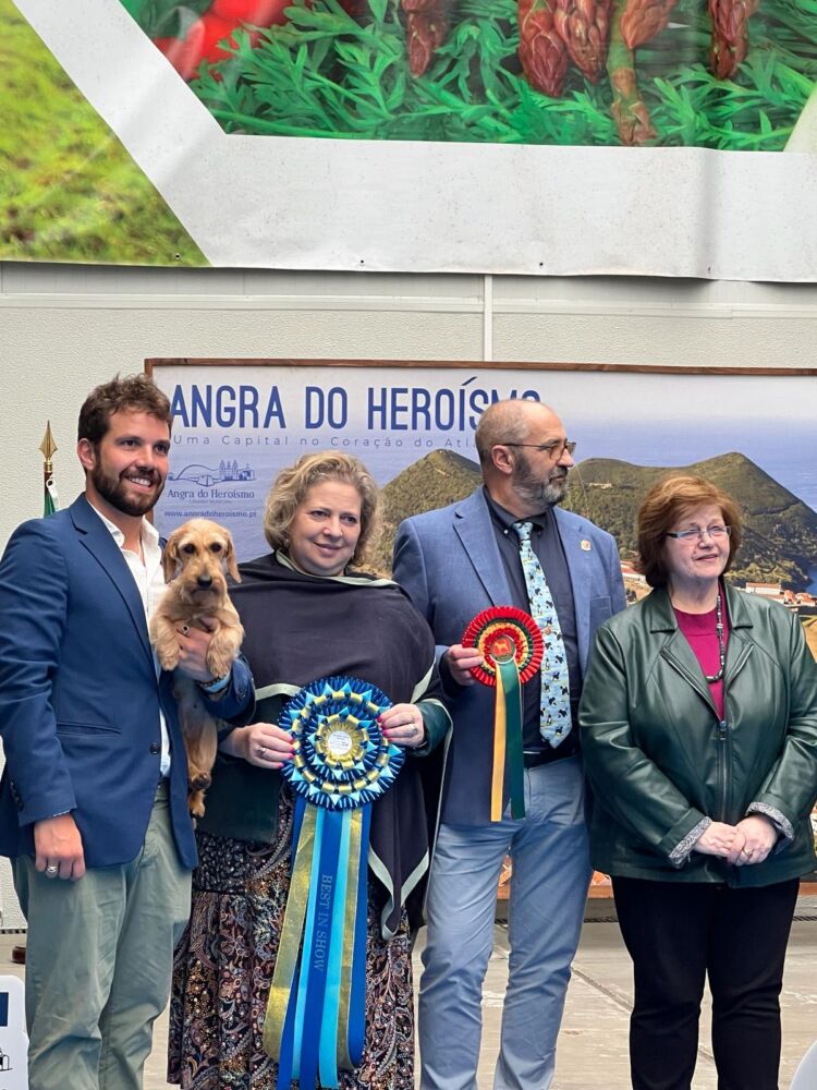 V exposição espacializada da raça do Cão Barbado da Terceira e 5.ª e 6.ª Exposição Canina Nacional de Angra do Heroísmo