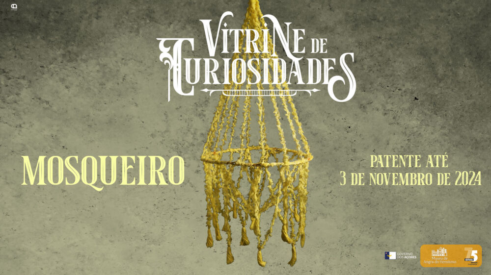 Vitrine de Curiosidades | Mosqueiro