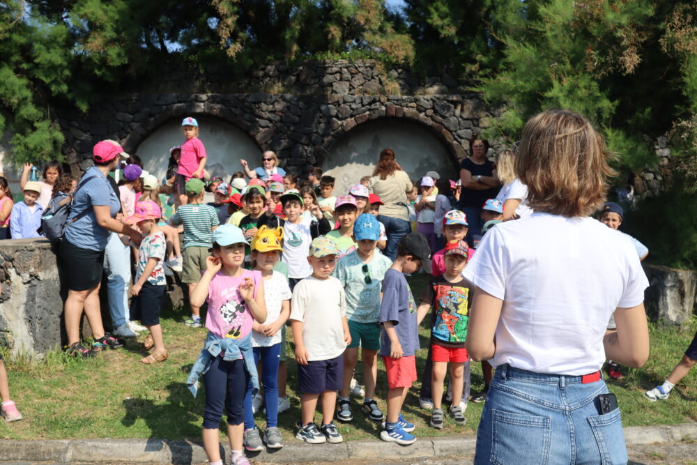 Projeto Âncora – ação «Prevenir em Coleção»: parceria entre a Casa do Povo de Santa Bárbara e a CMAH