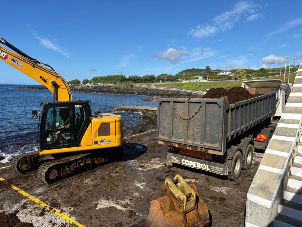 Município de Angra do Heroísmo desenvolve ações de limpeza para remover arrojamento de algas nas zonas balneares