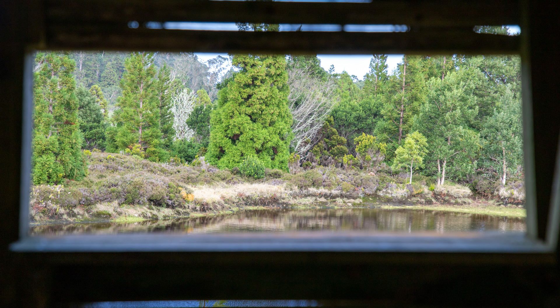 CMAH assinala o Dia Internacional das Florestas e o Dia Mundial da Árvore