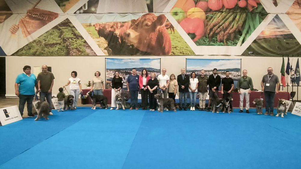 Angra 4 Patas reforça compromisso com o bem-estar animal e a adoção responsável