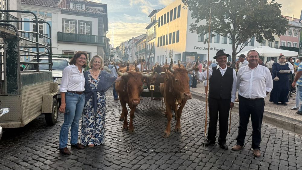 8.º Dia do Criador da Raça Ramo Grande destaca valorização de uma raça autóctone açoriana